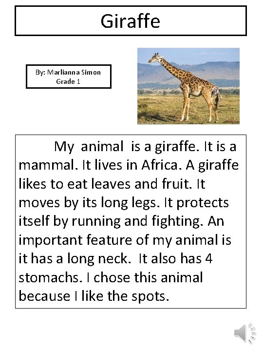Giraffe By: Marlianna Simon Grade 1 picture My animal is a giraffe. It is