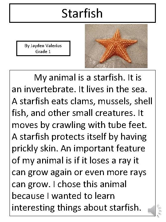 Starfish By Jayden Valerius Grade 1 picture My animal is a starfish. It is