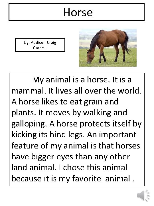 Horse By: Addison Craig Grade 1 picture My animal is a horse. It is