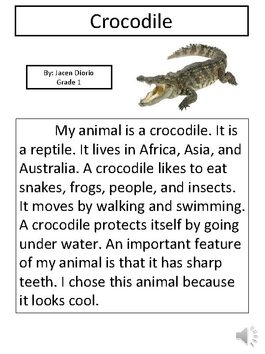 Crocodile By: Jacen Diorio Grade 1 picture My animal is a crocodile. It is