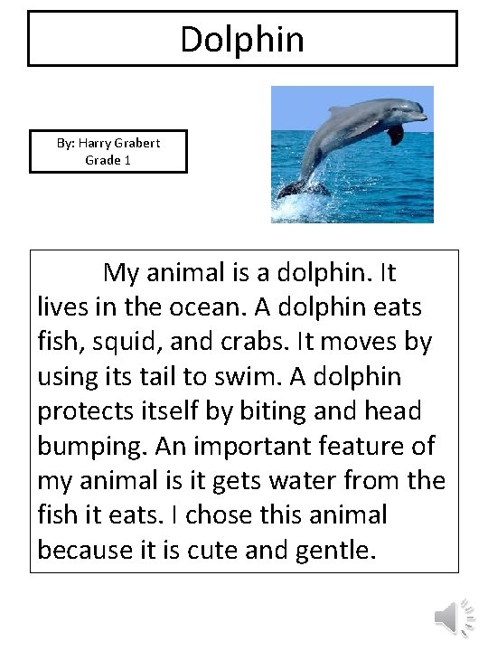 Dolphin picture By: Harry Grabert Grade 1 My animal is a dolphin. It lives