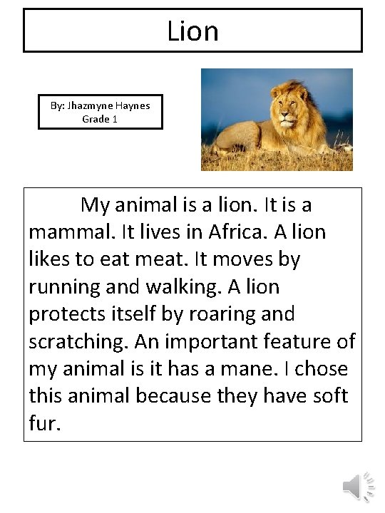 Lion By: Jhazmyne Haynes Grade 1 picture My animal is a lion. It is