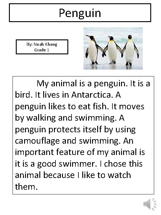 Penguin By: Noah Khang Grade 1 picture My animal is a penguin. It is