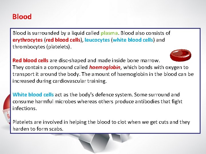 Blood is surrounded by a liquid called plasma. Blood also consists of erythrocytes (red