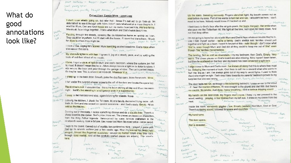 What do good annotations look like? 