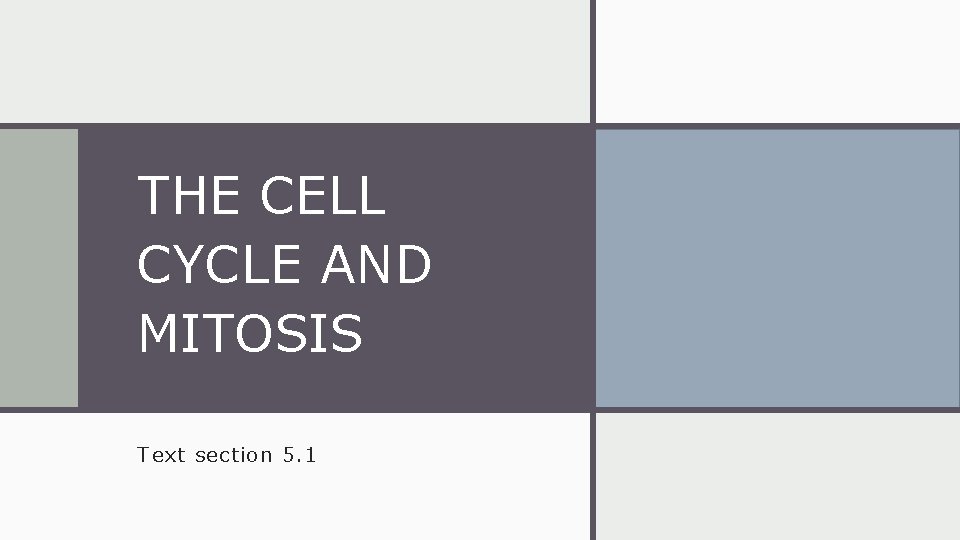 THE CELL CYCLE AND MITOSIS Text section 5. 1 