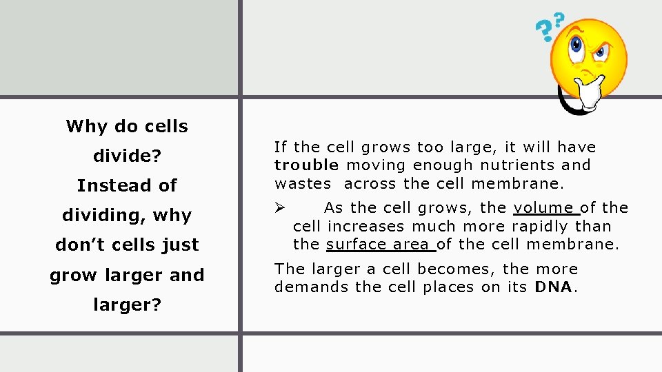 Why do cells divide? Instead of dividing, why don’t cells just grow larger and