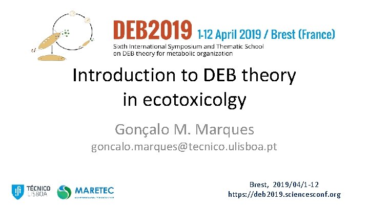 Introduction to DEB theory in ecotoxicolgy Gonçalo M. Marques goncalo. marques@tecnico. ulisboa. pt Brest,