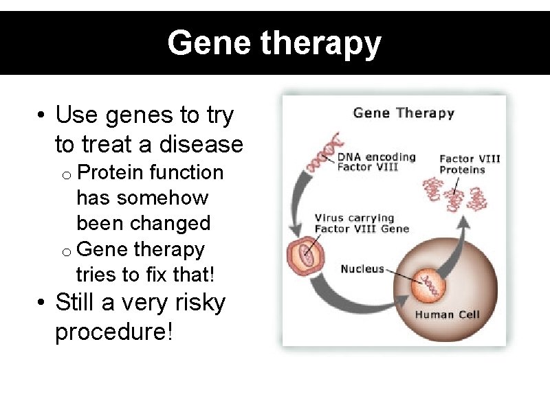 Gene therapy • Use genes to try to treat a disease o Protein function