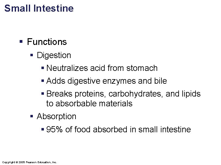 Small Intestine § Functions § Digestion § Neutralizes acid from stomach § Adds digestive