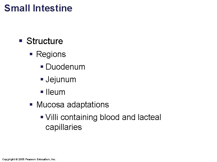 Small Intestine § Structure § Regions § Duodenum § Jejunum § Ileum § Mucosa