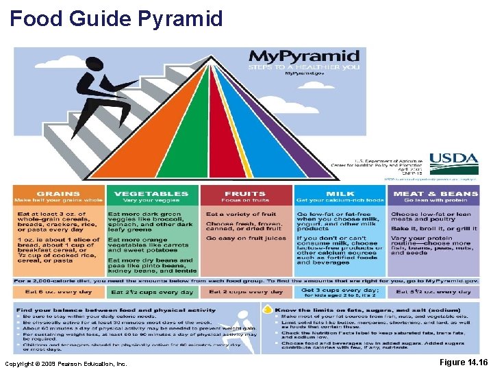 Food Guide Pyramid Copyright © 2009 Pearson Education, Inc. Figure 14. 16 