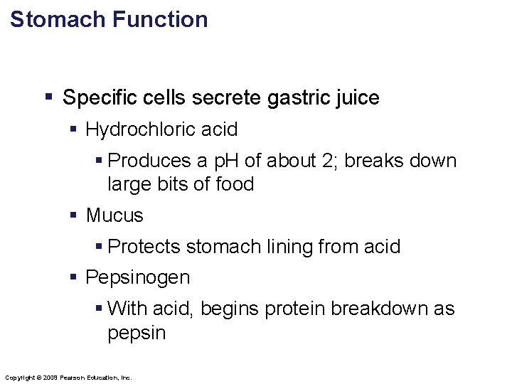 Stomach Function § Specific cells secrete gastric juice § Hydrochloric acid § Produces a