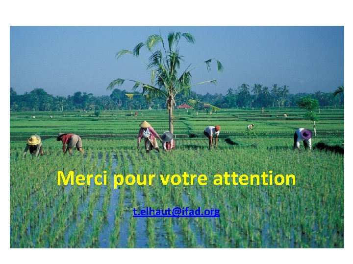 Merci pour votre attention t. elhaut@ifad. org 