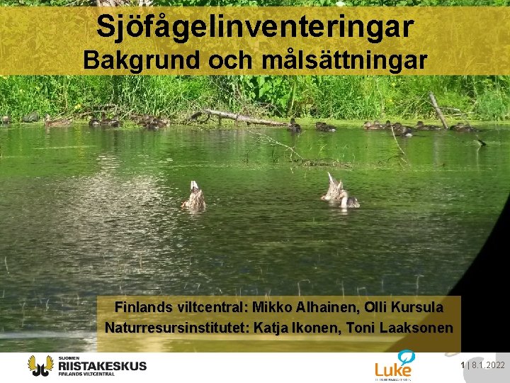 Sjöfågelinventeringar Bakgrund och målsättningar Finlands viltcentral: Mikko Alhainen, Olli Kursula Naturresursinstitutet: Katja Ikonen, Toni