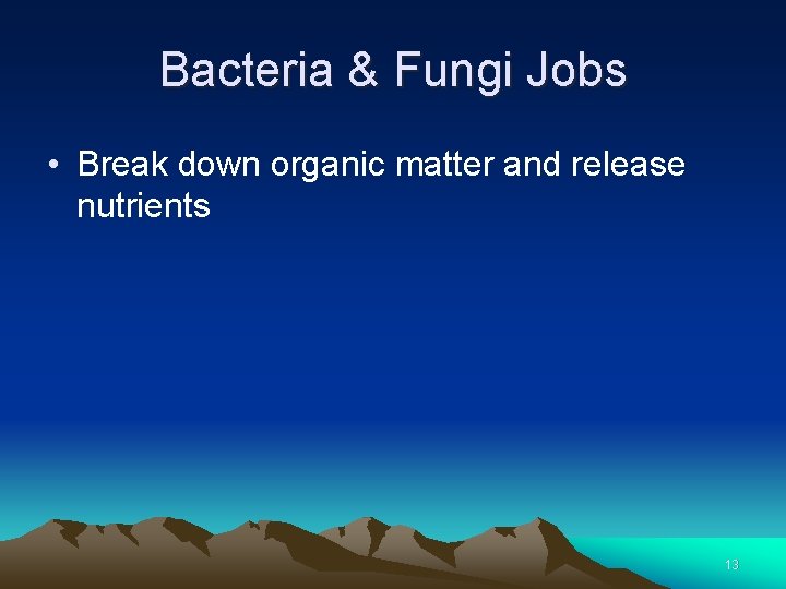 Bacteria & Fungi Jobs • Break down organic matter and release nutrients 13 