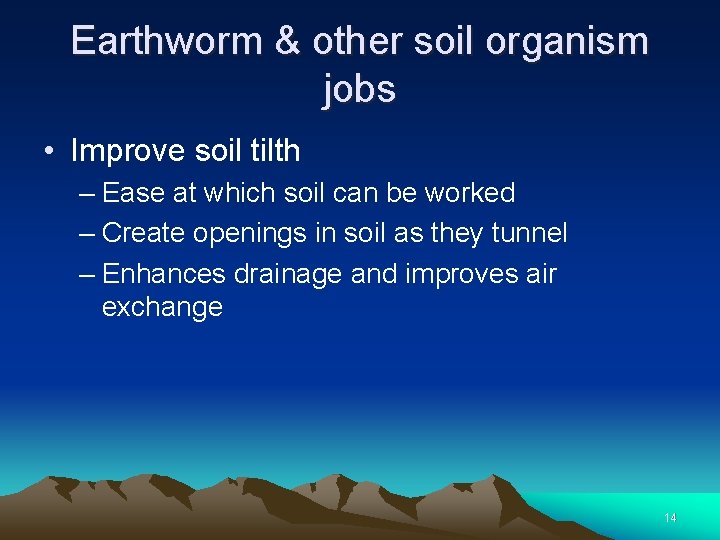 Earthworm & other soil organism jobs • Improve soil tilth – Ease at which