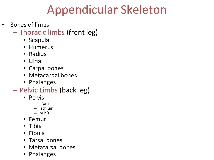 Appendicular Skeleton • Bones of limbs. – Thoracic limbs (front leg) • • Scapula