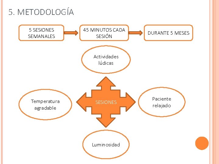 5. METODOLOGÍA 5 SESIONES SEMANALES 45 MINUTOS CADA SESIÓN DURANTE 5 MESES Actividades lúdicas