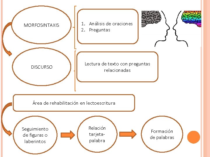 MORFOSINTAXIS DISCURSO 1. Análisis de oraciones 2. Preguntas Lectura de texto con preguntas relacionadas