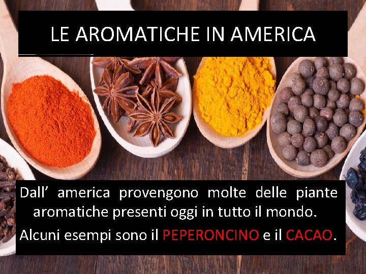 LE AROMATICHE IN AMERICA Dall’ america provengono molte delle piante aromatiche presenti oggi in