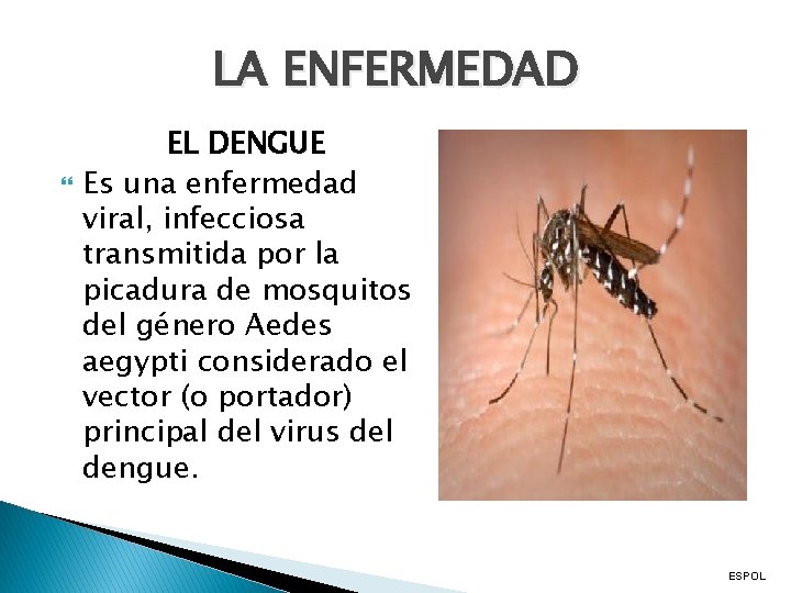 LA ENFERMEDAD EL DENGUE Es una enfermedad viral, infecciosa transmitida por la picadura de