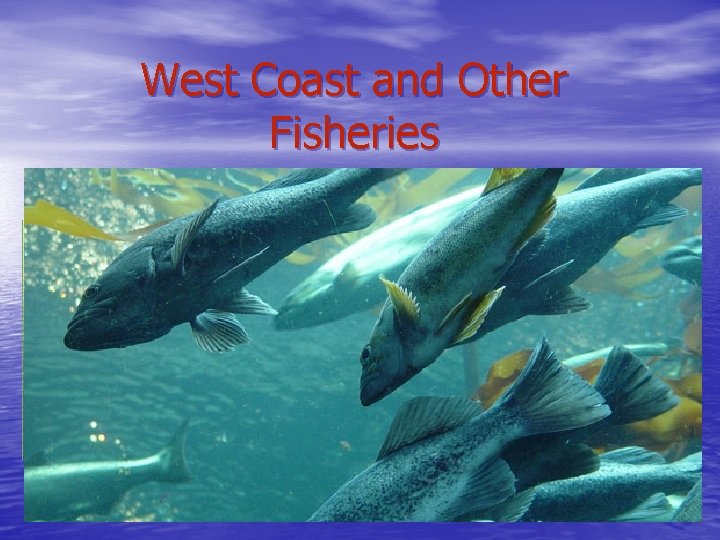 West Coast and Other Fisheries 