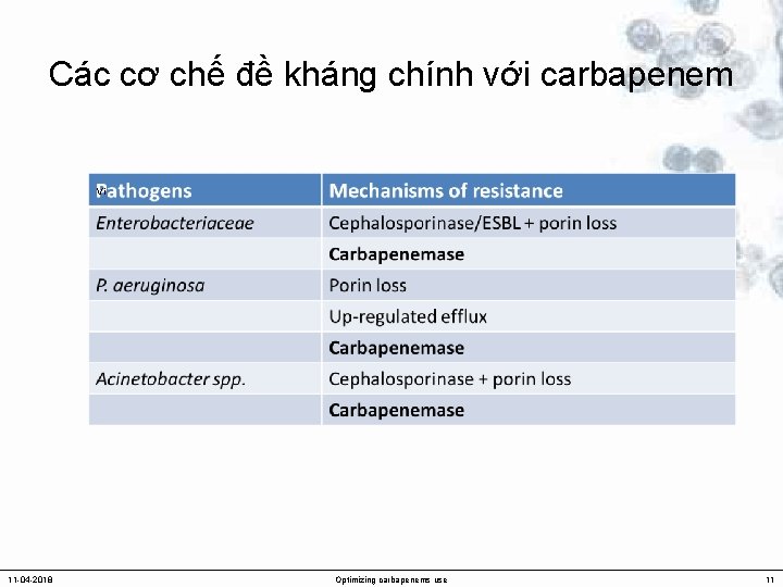 Các cơ chế đề kháng chính với carbapenem Vi 11 -04 -2018 Optimizing carbapenems