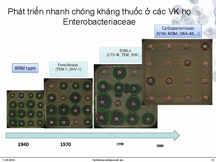 Phát triển nhanh chóng kháng thuốc ở các VK họ Enterobacteriaceae ESBLs (CTX-M, TEM,