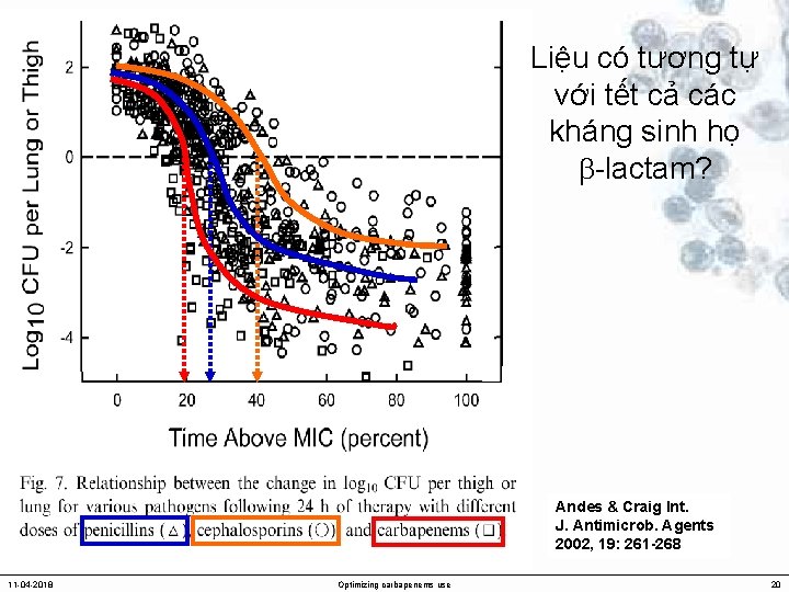 Liệu có tương tự với tết cả các kháng sinh họ -lactam? Andes &