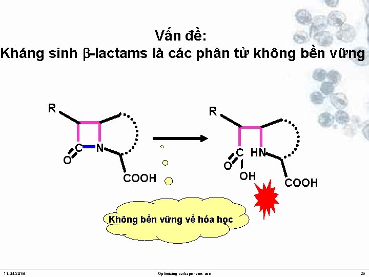 Vấn đề: Kháng sinh -lactams là các phân tử không bền vững R R