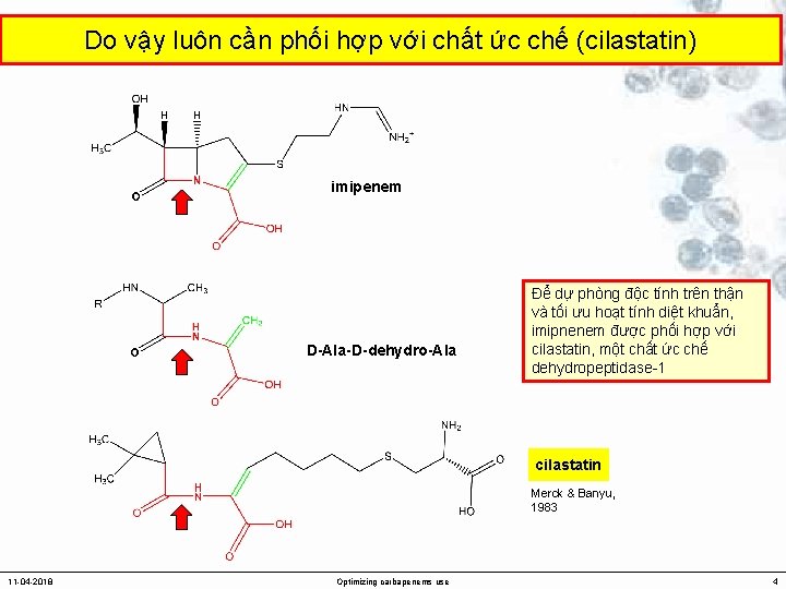 Do vậy luôn cần phối hợp với chất ức chế (cilastatin) imipenem D-Ala-D-dehydro-Ala Để