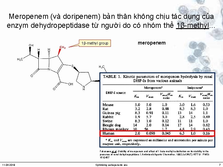 Meropenem (và doripenem) bản thân không chịu tác dụng của enzym dehydropeptidase từ người