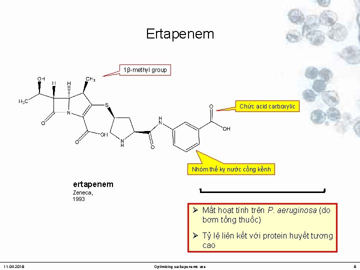 Ertapenem 1β-methyl group Chức acid carboxylic Nhóm thế kỵ nước cồng kềnh ertapenem Zeneca,