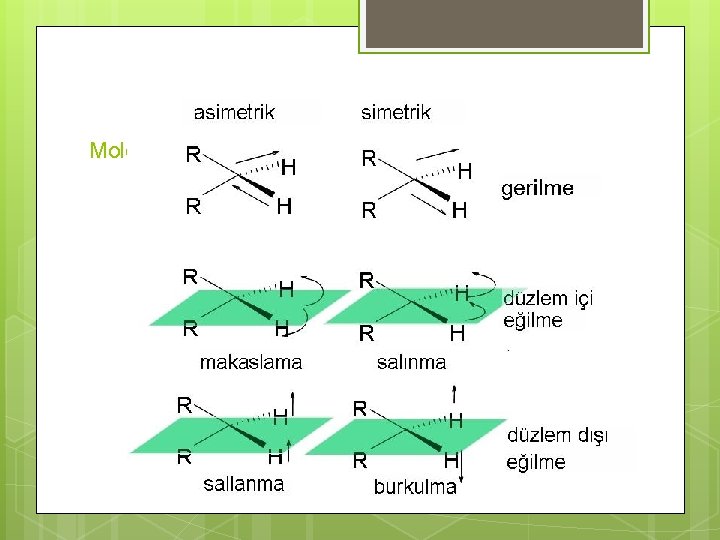 Moleküler titreşimler 