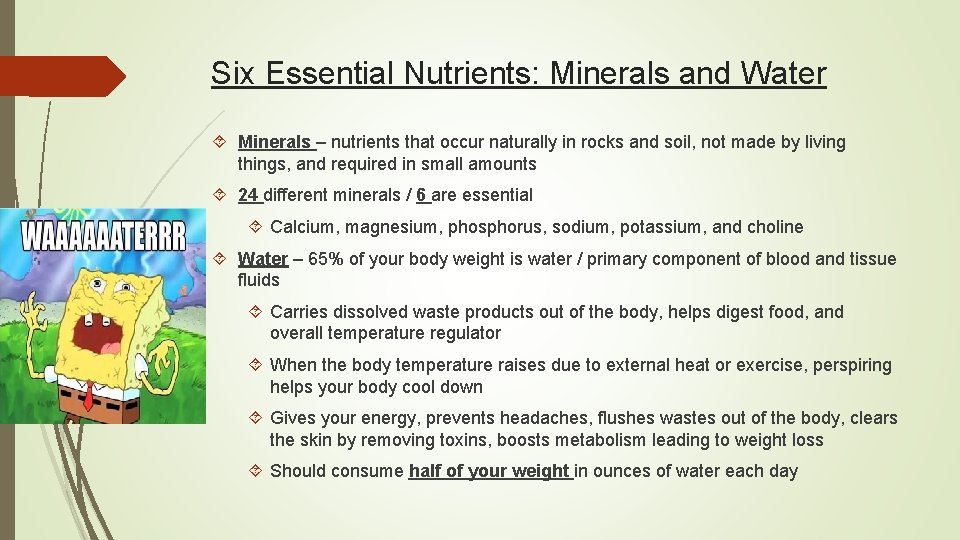 Six Essential Nutrients: Minerals and Water Minerals – nutrients that occur naturally in rocks