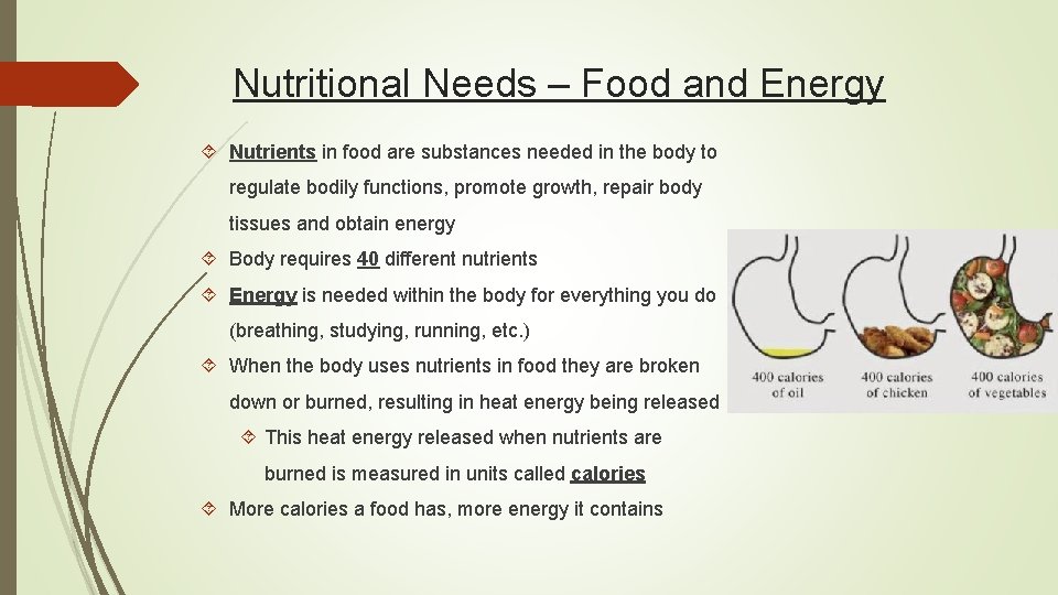 Nutritional Needs – Food and Energy Nutrients in food are substances needed in the