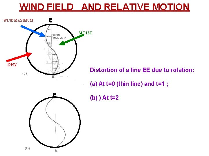 WIND FIELD AND RELATIVE MOTION WIND MAXIMUM E MOIST DRY Distortion of a line
