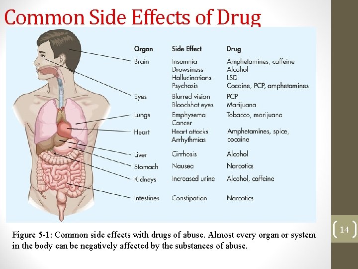 Common Side Effects of Drug Figure 5 -1: Common side effects with drugs of