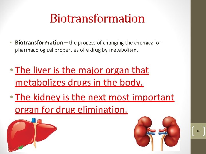 Biotransformation • Biotransformation—the process of changing the chemical or pharmacological properties of a drug