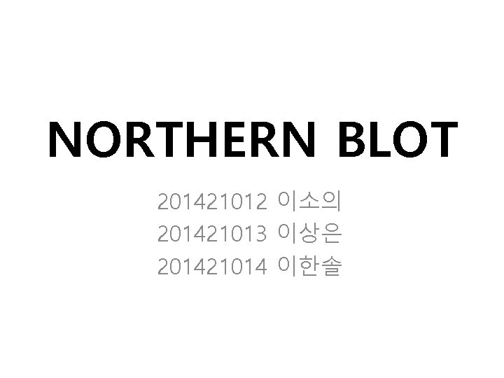 NORTHERN BLOT 201421012 이소의 201421013 이상은 201421014 이한솔 