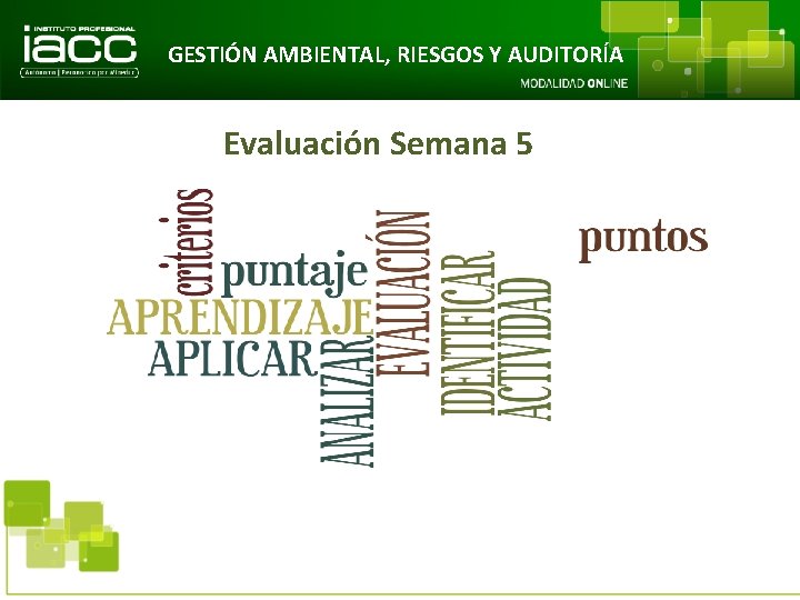 GESTIÓN AMBIENTAL, RIESGOS Y AUDITORÍA Evaluación Semana 5 