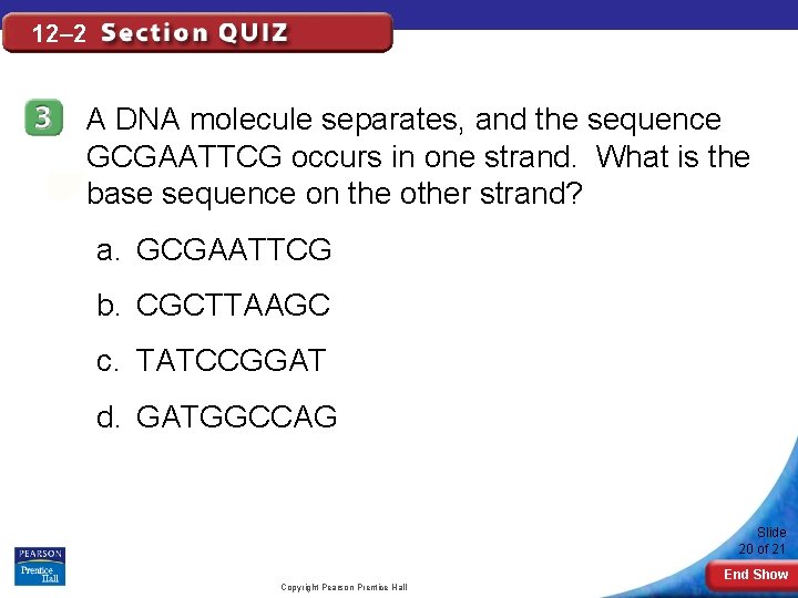 12– 2 A DNA molecule separates, and the sequence GCGAATTCG occurs in one strand.