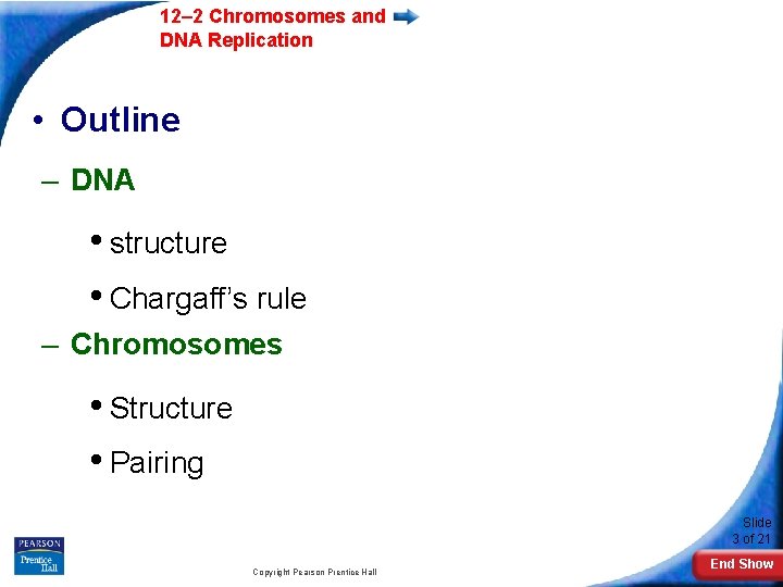 12– 2 Chromosomes and DNA Replication • Outline – DNA • structure • Chargaff’s