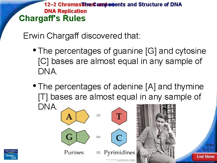 12– 2 Chromosomes The Components and Structure of DNA Replication Chargaff's Rules Erwin Chargaff