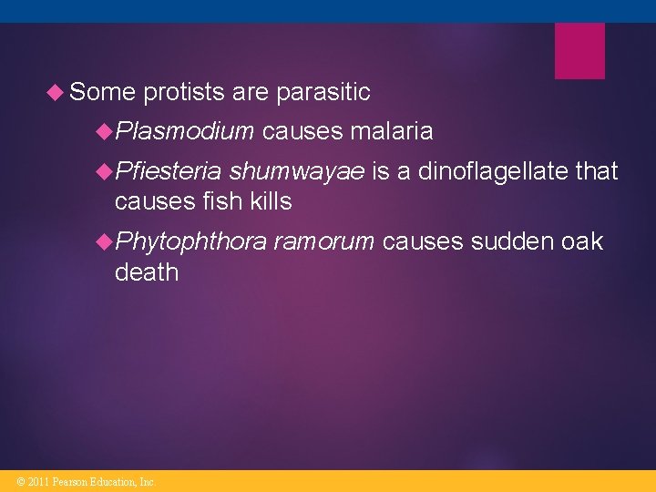 Some protists are parasitic Plasmodium causes malaria Pfiesteria shumwayae is a dinoflagellate that Some protists are parasitic Plasmodium causes malaria Pfiesteria shumwayae is a dinoflagellate that