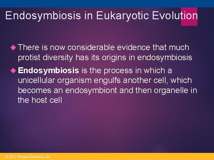 Endosymbiosis in Eukaryotic Evolution There is now considerable evidence that much protist diversity has Endosymbiosis in Eukaryotic Evolution There is now considerable evidence that much protist diversity has