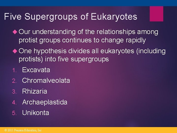 Five Supergroups of Eukaryotes Our understanding of the relationships among protist groups continues to Five Supergroups of Eukaryotes Our understanding of the relationships among protist groups continues to