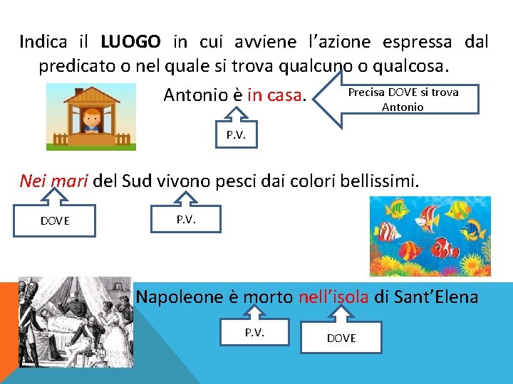 Indica il LUOGO in cui avviene l’azione espressa dal predicato o nel quale si