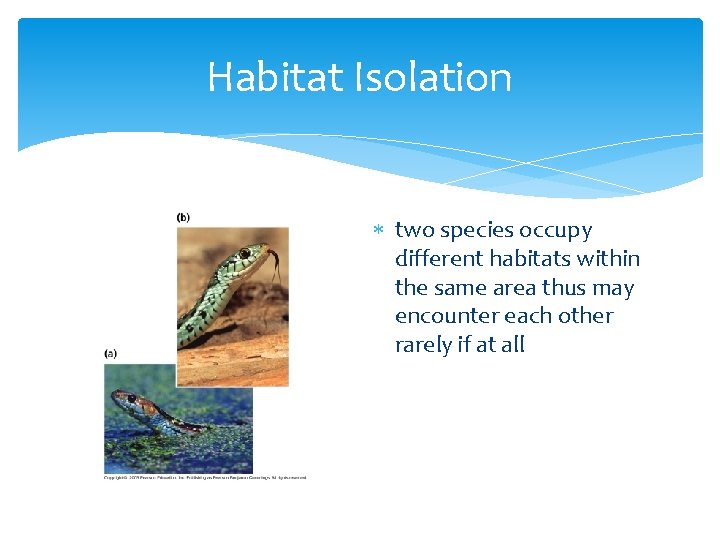 The Origin of Species Speciation The formation of